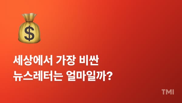 세상에서 가장 비싼 수천억 뉴스레터의 성장 전략